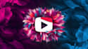 creat setup your new youtube channel with SEO optimization help to monetization