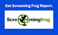 give SEO audit crawl report with premium screaming frog