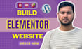 be elementor expert in wordpress website with elementor pro