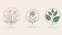 design modern botanical boho logo design