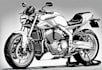 make vector line art or super detailed line art work vector