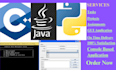 master programmer in c cpp and java with proficiency