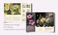 create an attractive brochure, flyer or leaflet