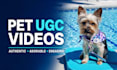 create premium pet ugc
