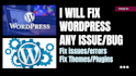 expert wordpress fixes woocommerce elementor divi CSS SEO