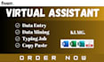 professional data entry and data cleaning