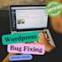 fix your wordpress issue within hours