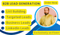 do targeted b2b lead generation, data entry and web research