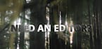 professionally edit your video or vlog