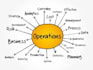 do project operations management reports supply chain articles