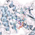 do molecular docking and drug designing