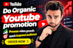 do country targeted youtube video promotion for more views
