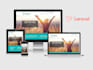 develop custom PHP and laravel web applications