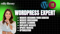 design clone revamp update copy redesign any wordpress website