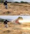 vfx composting, 3d cgi, vfx composite, vfx rotoscoping, vfx green screen remove