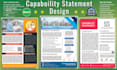 provide your professional and effective capability statement
