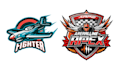 design creative mascot aviation logo