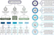 design infographics, flowcharts and diagrams