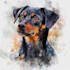 draw vector illustration dog cat animal pet drawing portrait
