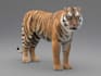 create 3d cgi animal model, rigging and animation, cgi vfx