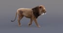 do 3d animal animation, 3d animal model, 3d animal character design, 3d models