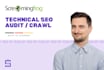 do an in depth technical SEO check up of your ecommerce shop