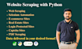 do python website scraping, web data extraction and selenium