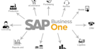 do professional sap business one solutions
