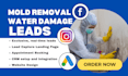 mold remediation mold removal water damage leads google ads mold removal leads