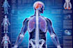 do medical and scientific illustrations