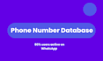 provide targeted mobile phone number database per country