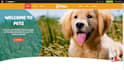 design pet care website pet grooming website dog walking website pets website