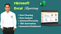design professional excel dashboards, reports, and graphs