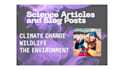 write science articles, extensively researched and accurate