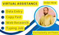 do data entry, data mining, web research, copy paste