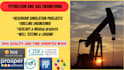 manage petroleum engineering projects, reservoir simulation, drilling, geology