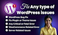 fix wordpress error, fix wordpress issues, fix bugs