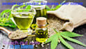 develop cbd website, cannabis, marijuana website, weed website, hemp website