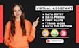 do excel data entry, data scraping, data mining and copy paste