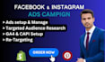 set up high converting facebook ads campaigns for lead generation and sales