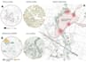 do architectural site analysis and conceptual diagrams and case study