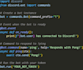 develop a custom discord bot in python