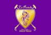 design professional polo team logo