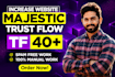 increase majestic trust flow tf 40 plus with permanent backlinks