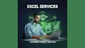 data cleaning , data entry , data analysis