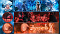 eye catching anime banners and pfp