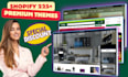 deliver shopify premium theme based on niche and setup store