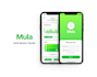 develop money transfer app fintech app wallet app UI UX design bank app