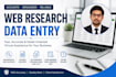be your virtual assistant for data entry, web research and data collection