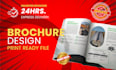 design a professional company brochure, booklet, or catalog